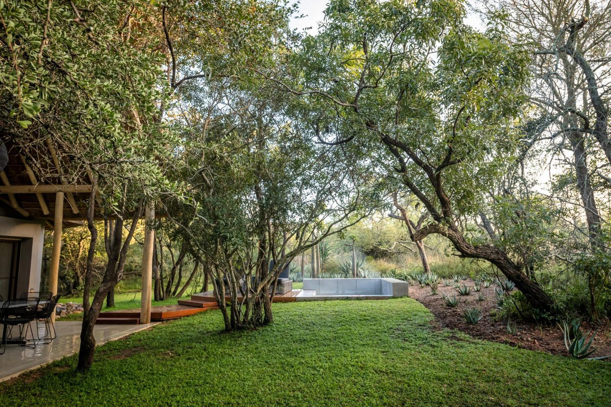 Serondella Safari Lodge Καταφύγιο Άγριας Ζωής Thornybush Εξωτερικό φωτογραφία