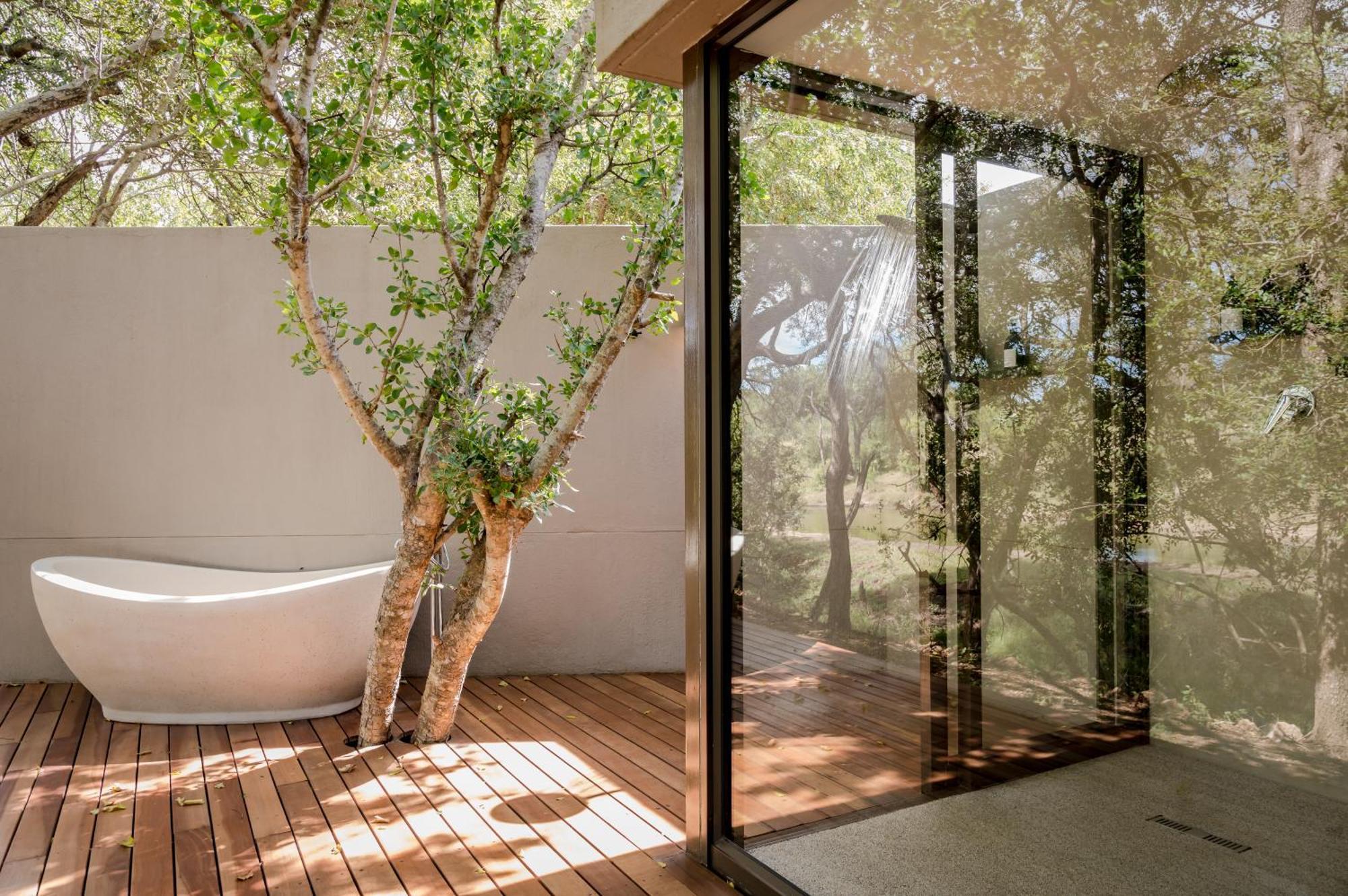 Serondella Safari Lodge Καταφύγιο Άγριας Ζωής Thornybush Δωμάτιο φωτογραφία