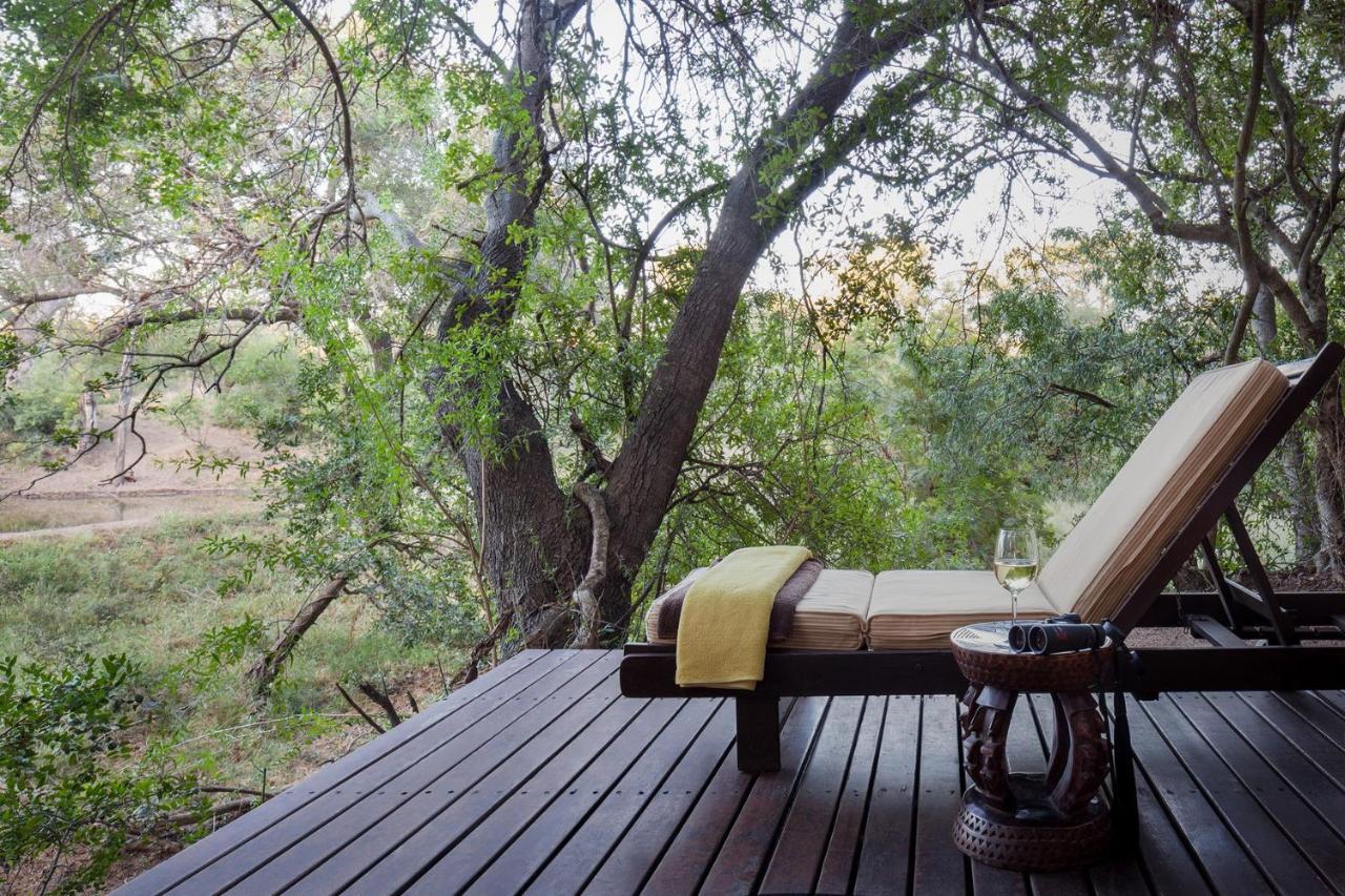 Serondella Safari Lodge Καταφύγιο Άγριας Ζωής Thornybush Εξωτερικό φωτογραφία