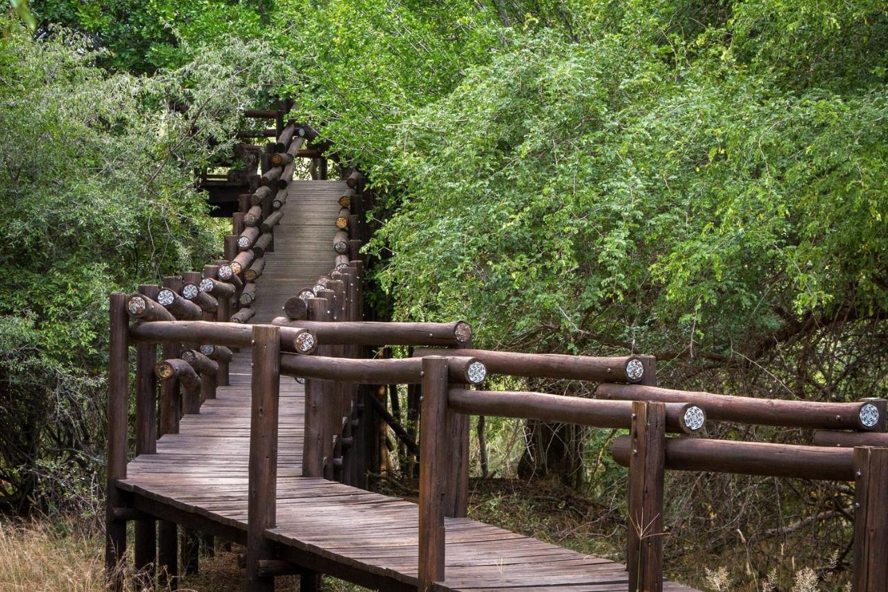 Serondella Safari Lodge Καταφύγιο Άγριας Ζωής Thornybush Εξωτερικό φωτογραφία